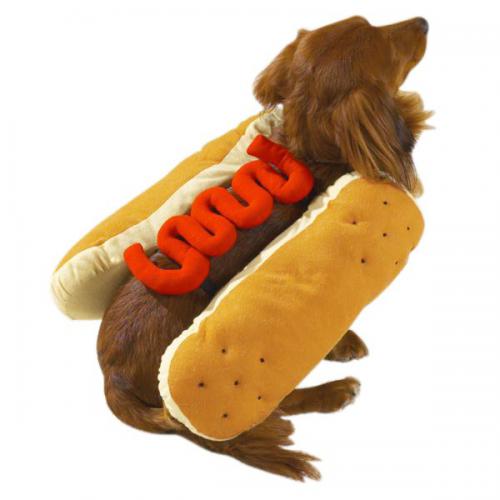 Casual Canine Hot Diggity Dog Costume Mustard